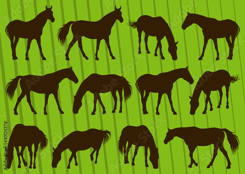 Sport horse silhouettes illustration collection background