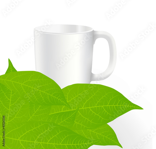 Fresh, green tea leaves on a white background with cup vector