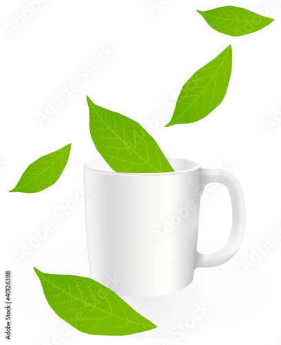 Fresh, green tea leaves on a white background with cup vector