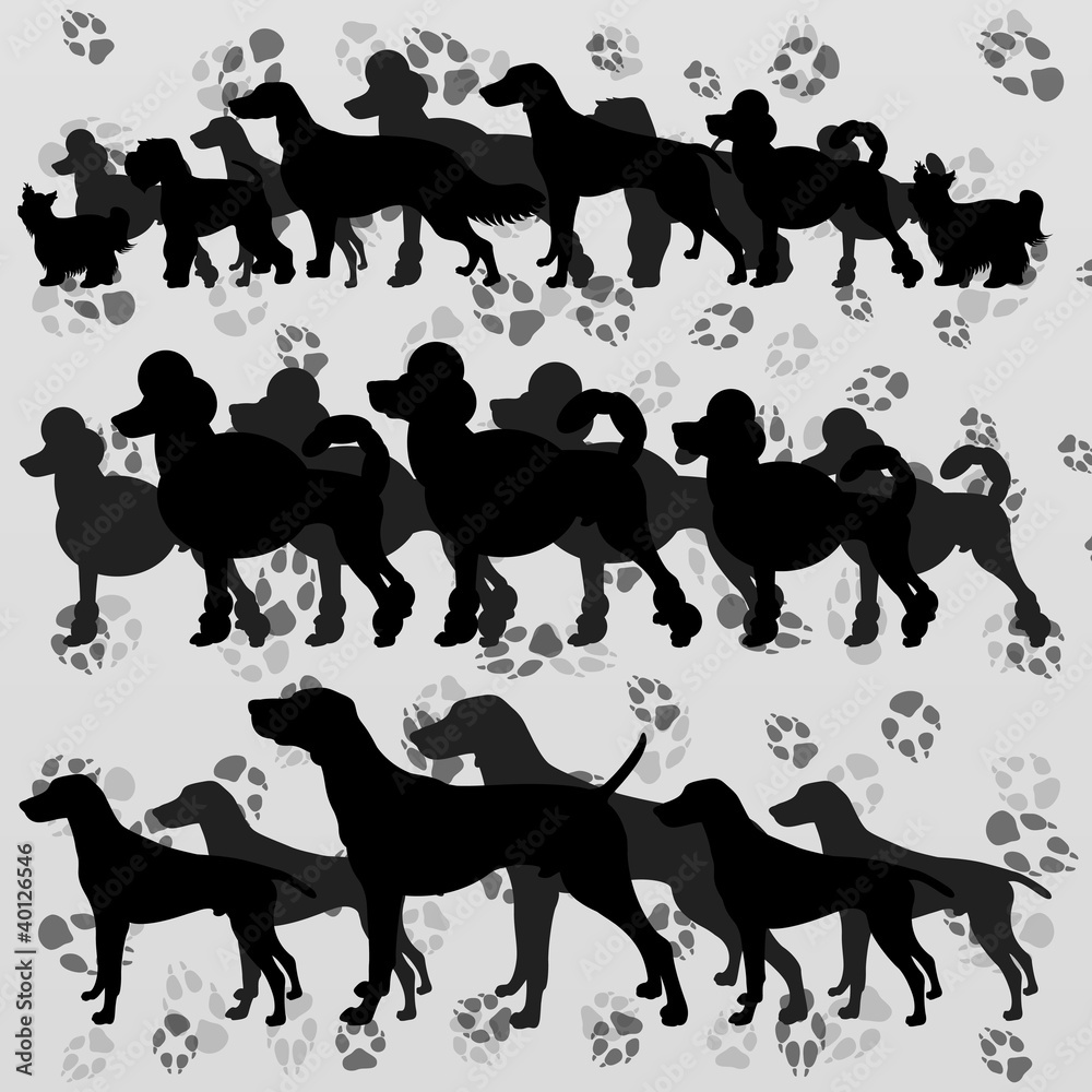 Dogs and dog footprints silhouettes illustration collection