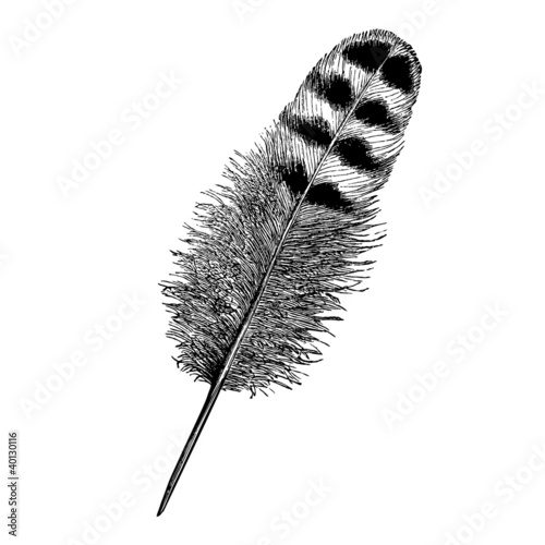 Plume pour écrire