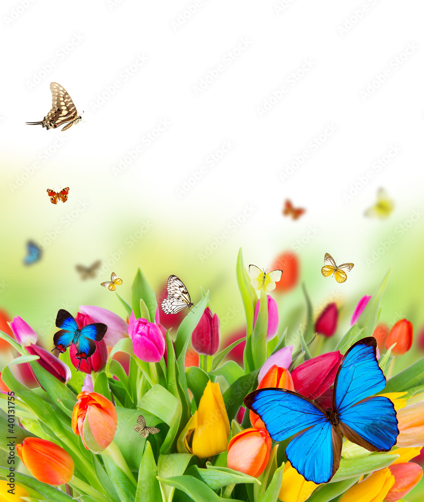 Beautiful spring flowers with butterflies