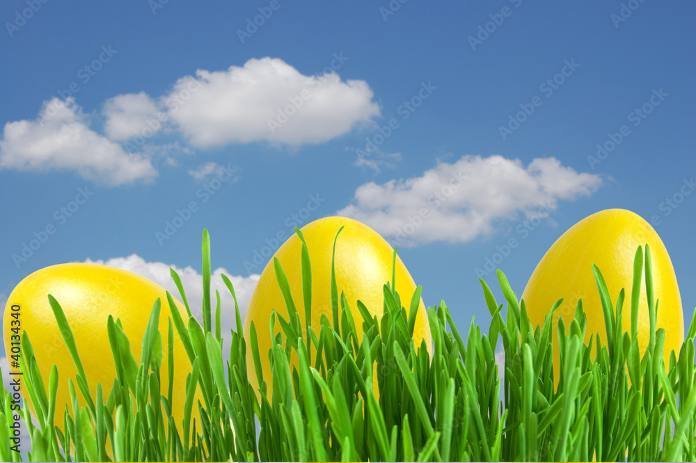 yellow easter eggs in green grass under blue sky