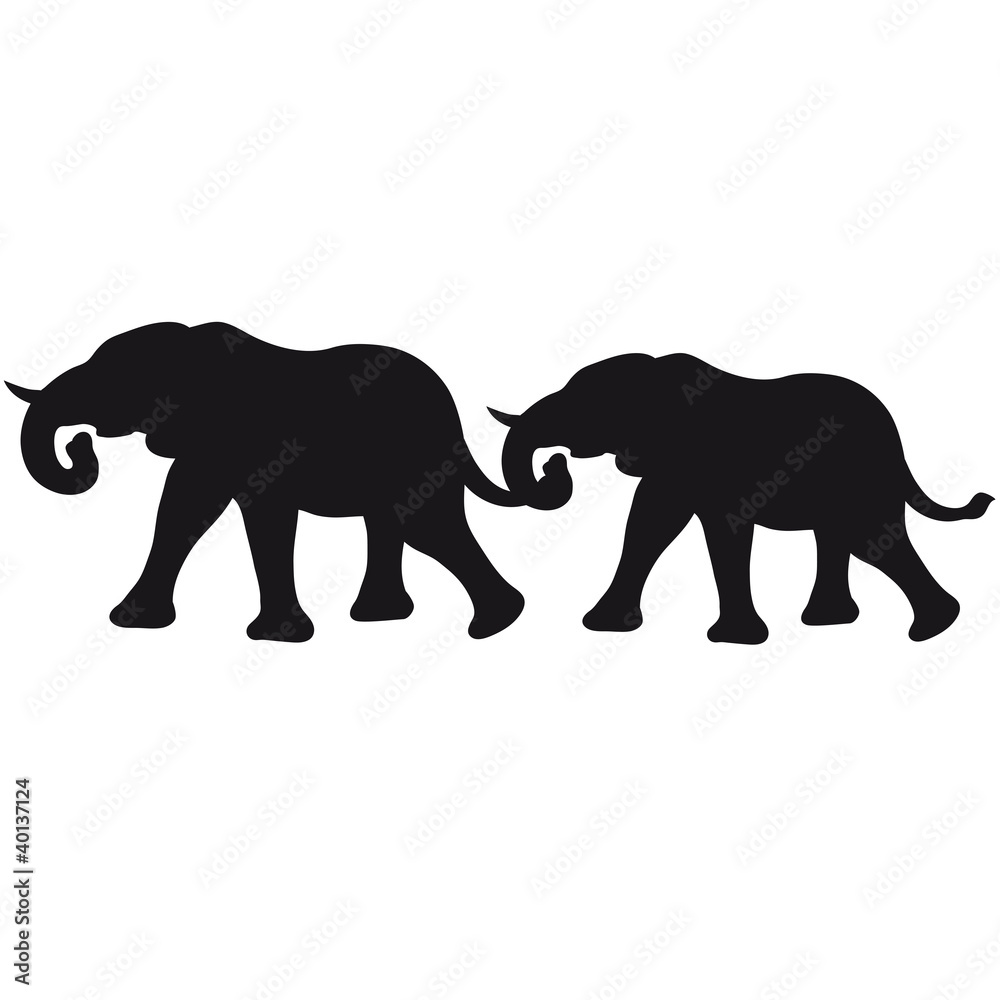 elephant_couple
