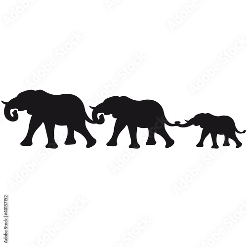 smal_elephant_family