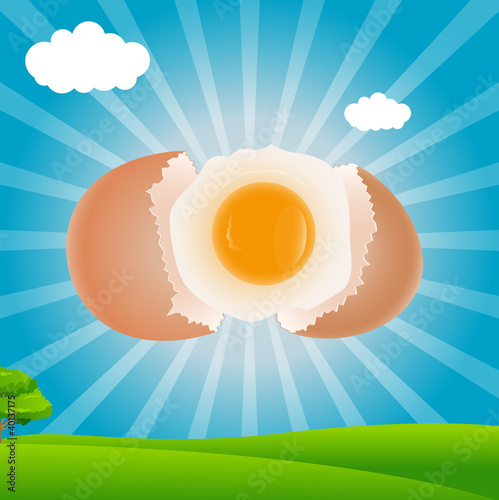 Broken Egg Yolk Background