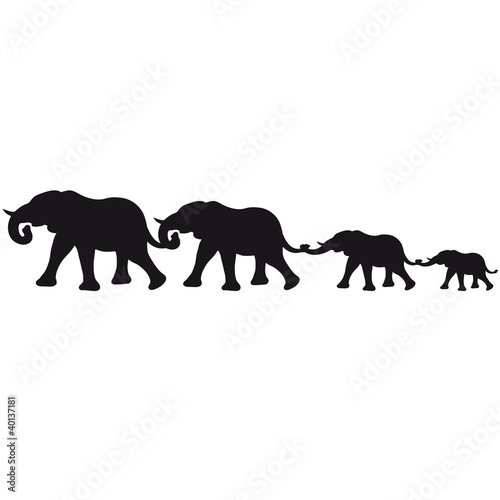 medium_elephant_family