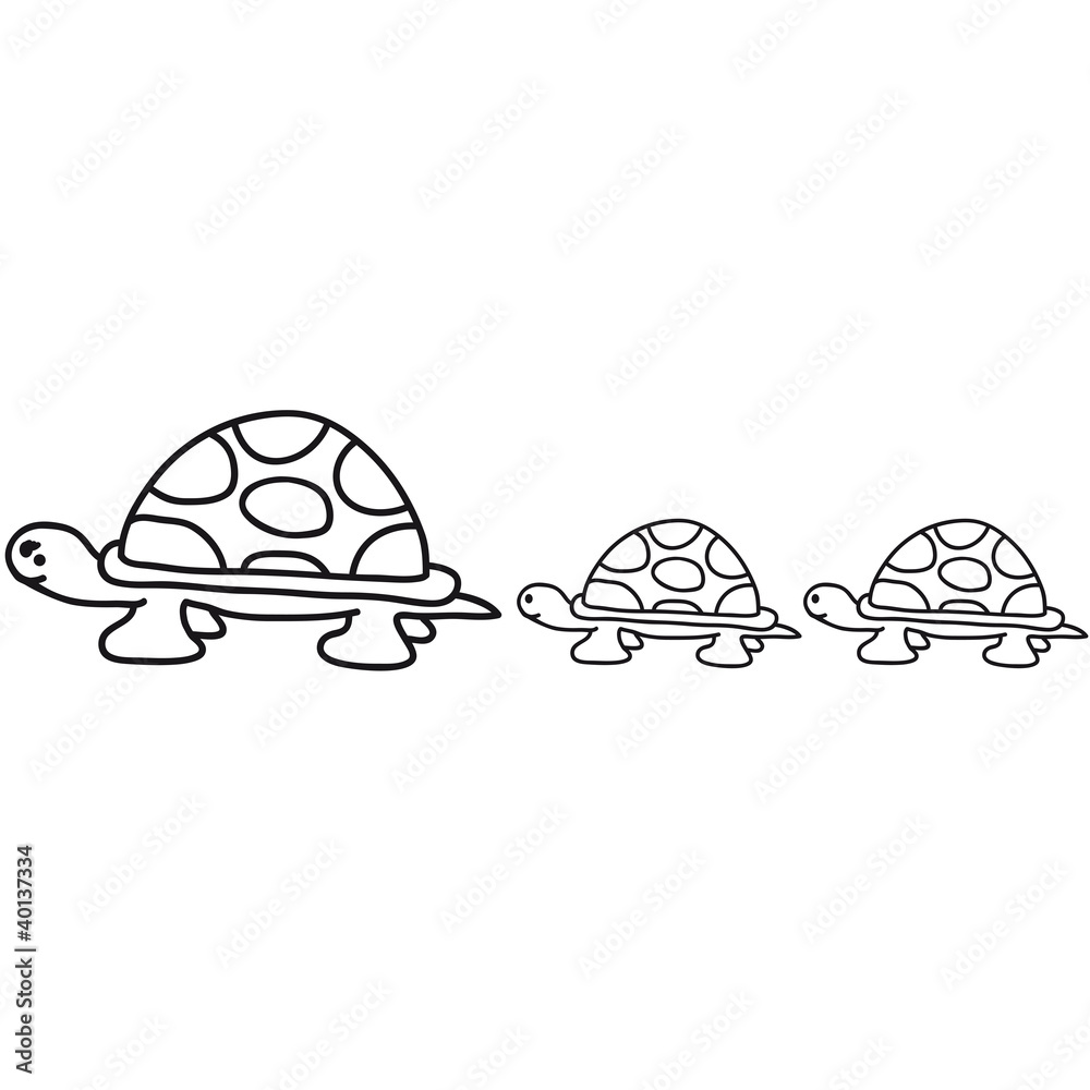turtle_family turtle_family