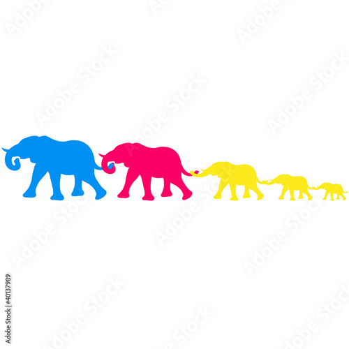 elephant_family