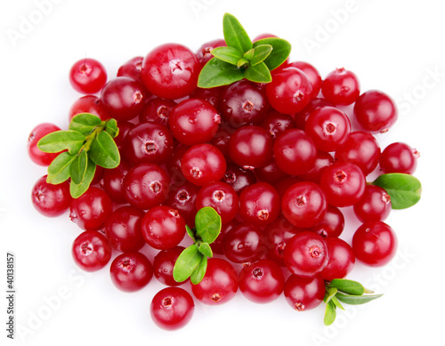 cranberries on a white