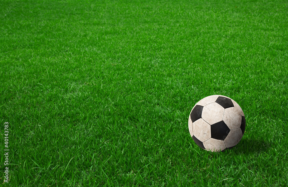 soccer ball on green grass