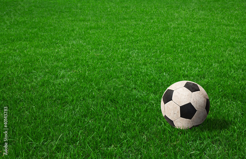 soccer ball on green grass © jannoon028