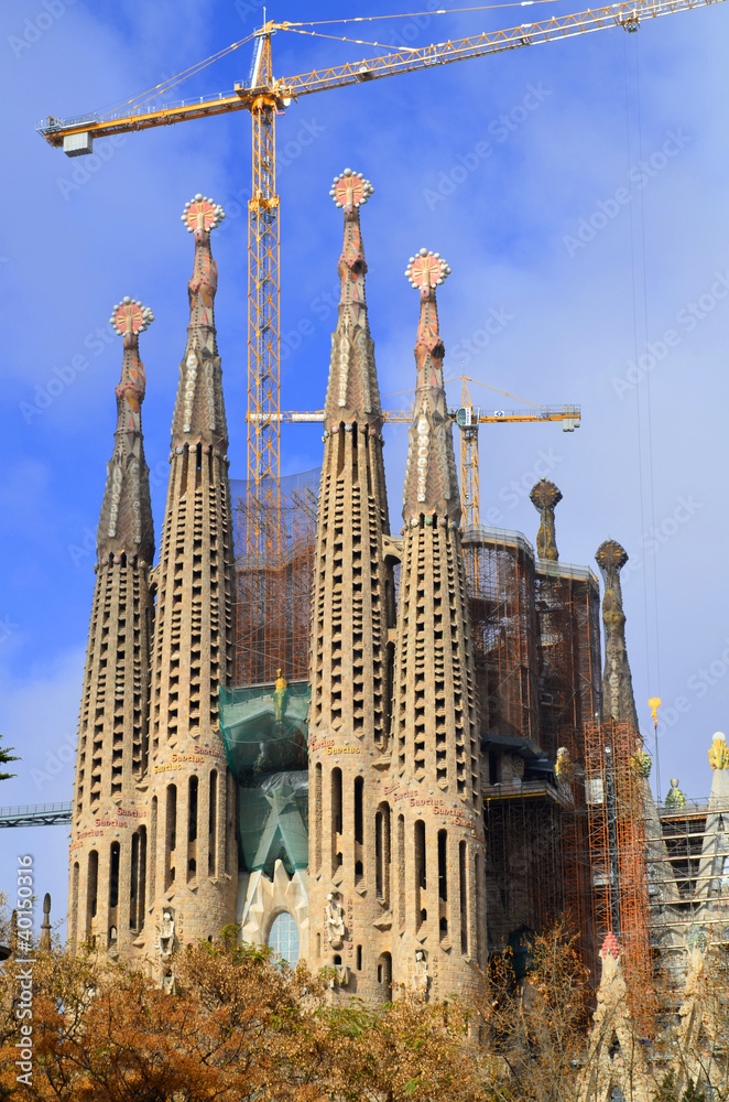 cathedral - barcelona