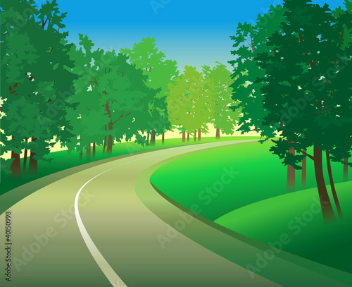 Green landscape with road