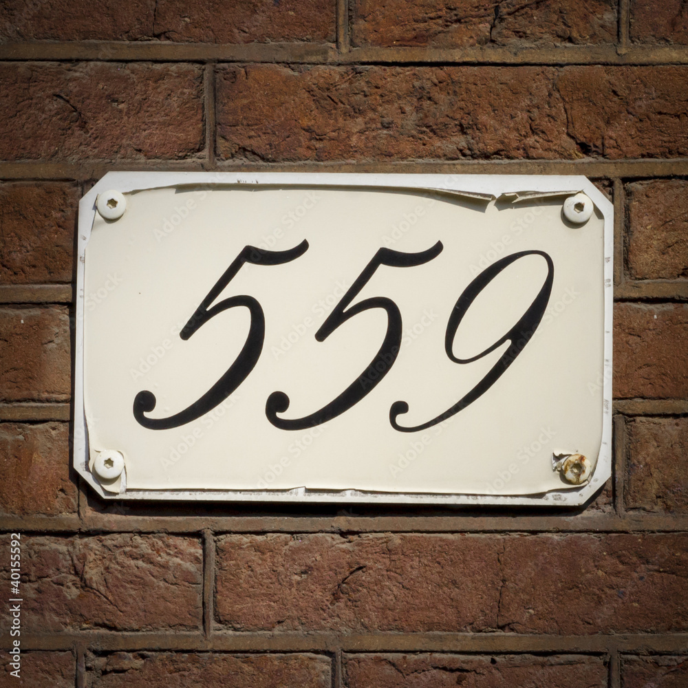 Obraz premium Nr. 559