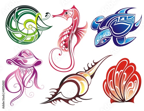 Vector collection of seashells and sea animals