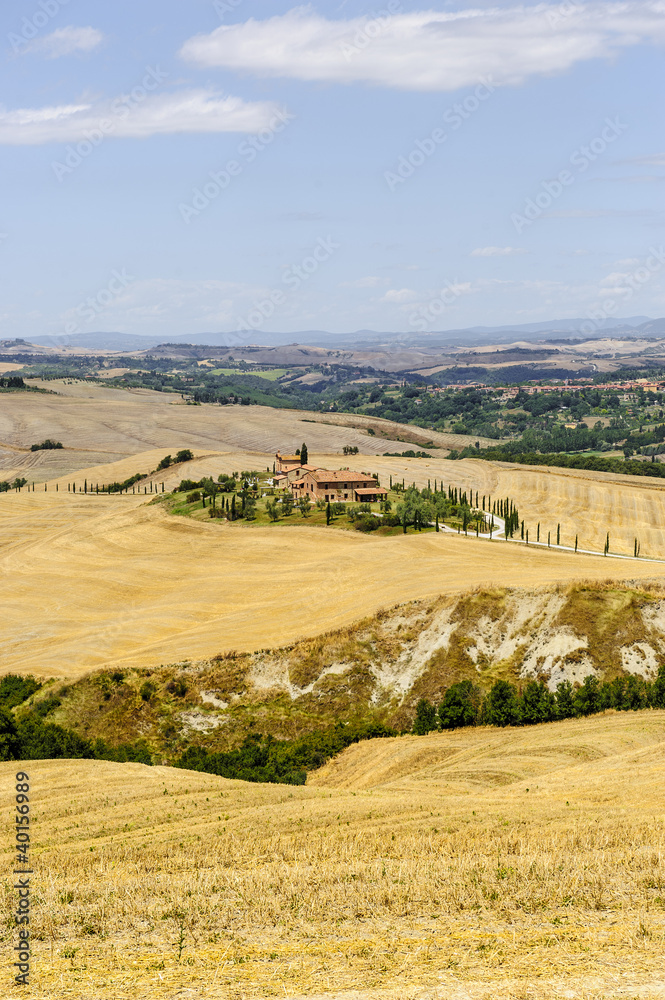 Fototapeta premium Farm in Val d'Orcia (Tuscany)