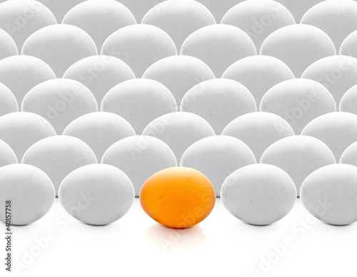 brown egg between white eggs