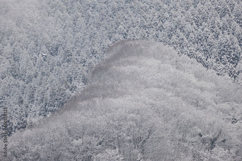 Obraz premium なごり雪