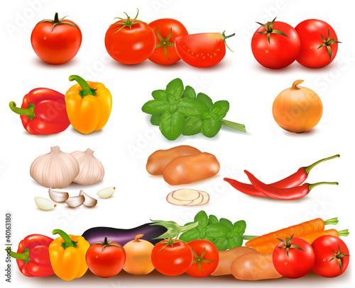 Color collection of vegetables and vegetable border.