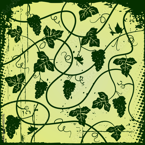 Bunch of grapes, plant background