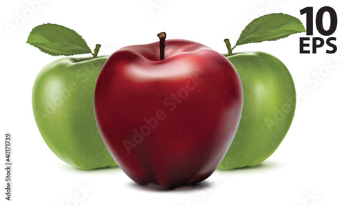 Apples. Vector illustration