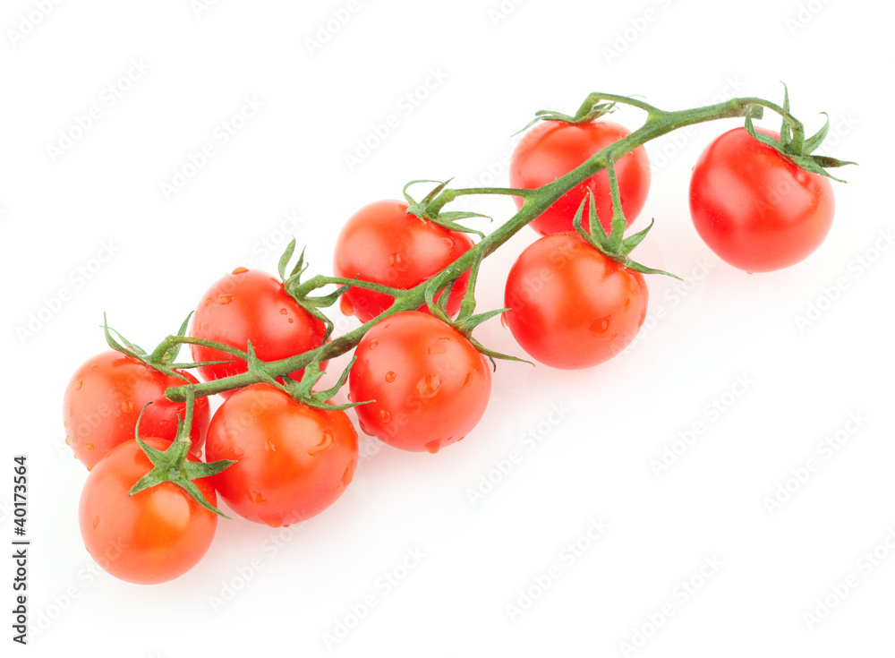 fresh tomatoes fresh tomatoes