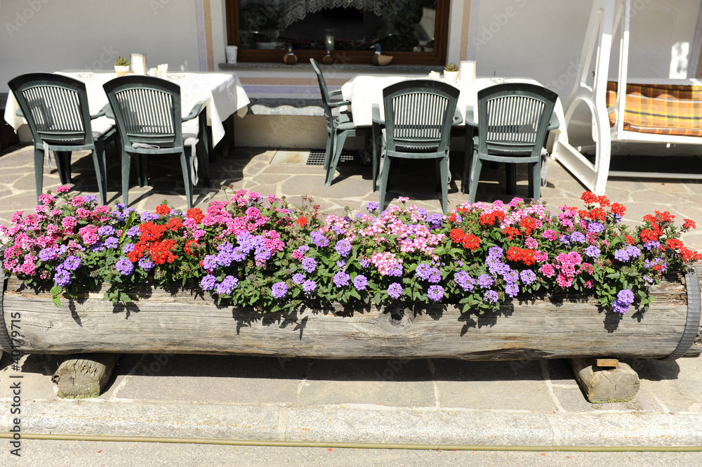 Fototapeta premium bar con fioriera