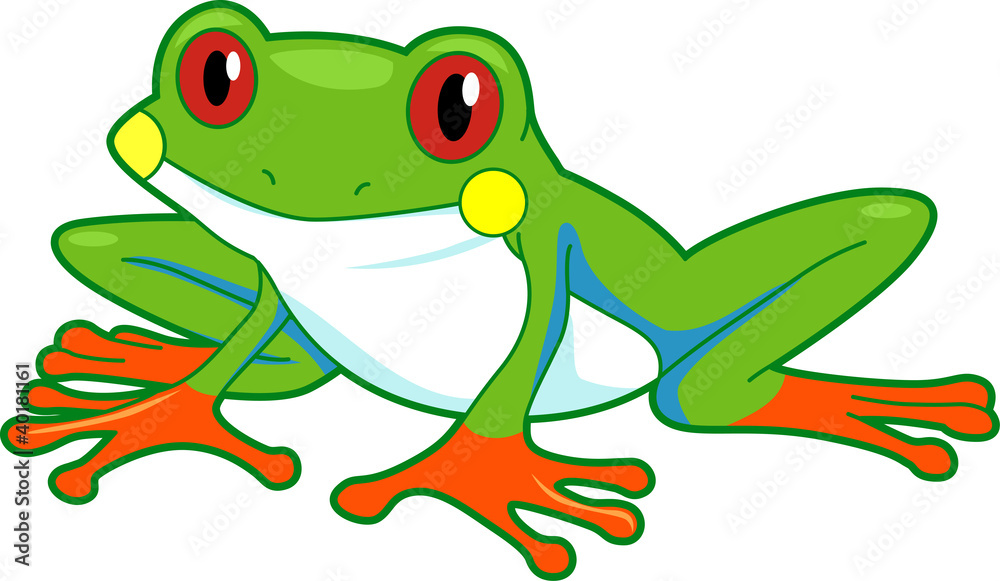 Naklejka premium Rainforest Frog