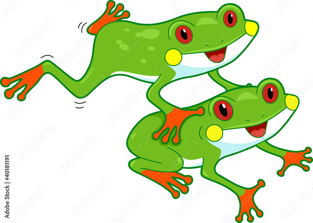 Obraz premium Rainforest Frog