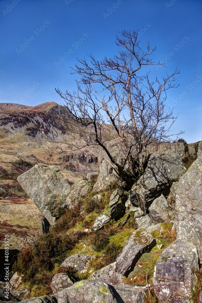 Nant Francon Nant Francon