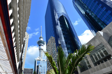 Papier peint photo Océanie Panorama urbain d'Auckland en Nouvelle-Zélande  © Rafael Ben-Ari