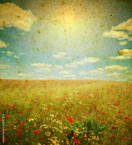 Fototapeta Naklejka Na Ścianę i Meble -  landscape