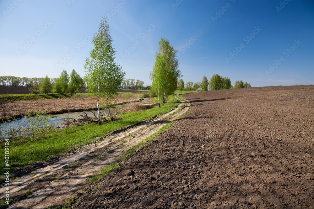Rural landscape with plowed field and road