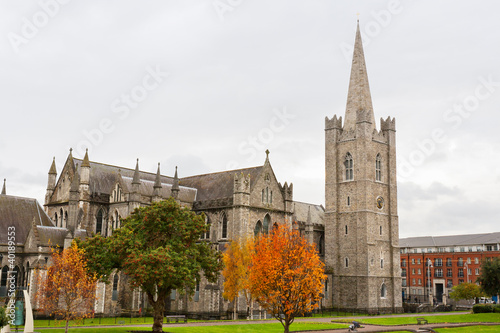 Wallpaper Mural St. Patrick's Cathedral. Dublin, Ireland Torontodigital.ca