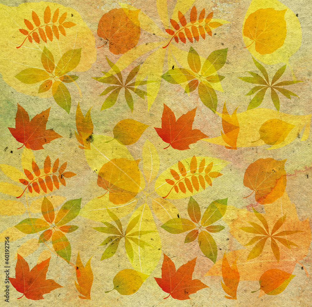 textured background with autumn leaf