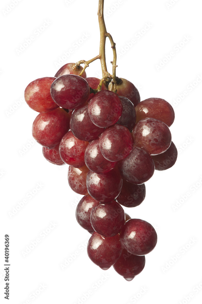 isolated fruit on white,a red bunch of grapes isolated fruit on white,a red bunch of grapes