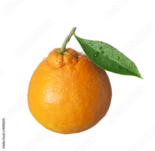 isolated fruit on white,an orange
