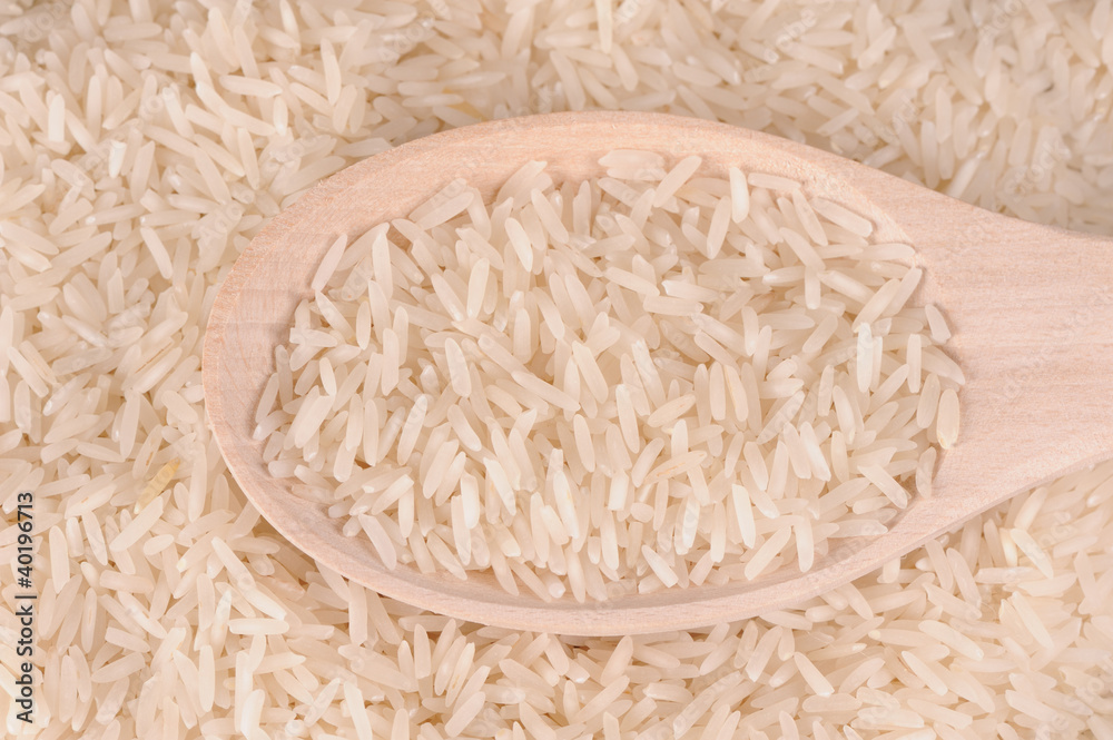 Rice on the canvas Rice on the canvas