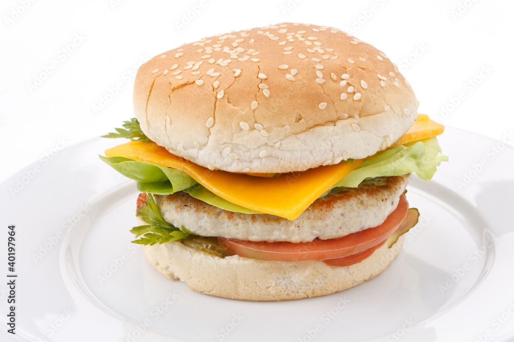 cheeseburger on the plate cheeseburger on the plate