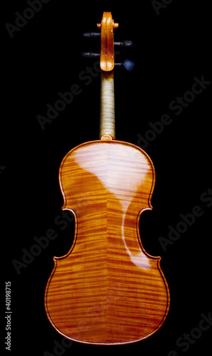 Violin brown back