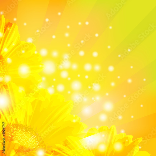 Fototapeta Naklejka Na Ścianę i Meble -  Orange Gerber With Sunburst