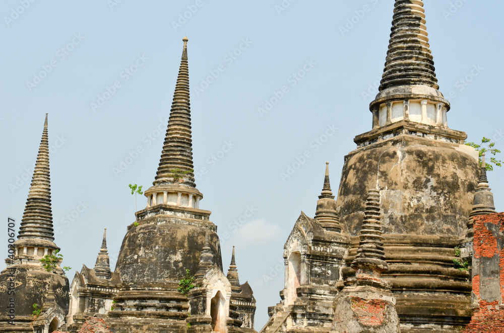 Fototapeta premium Les temples d'Ayutthaya