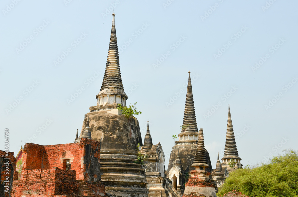 Fototapeta premium Temples au site d'Ayutthaya
