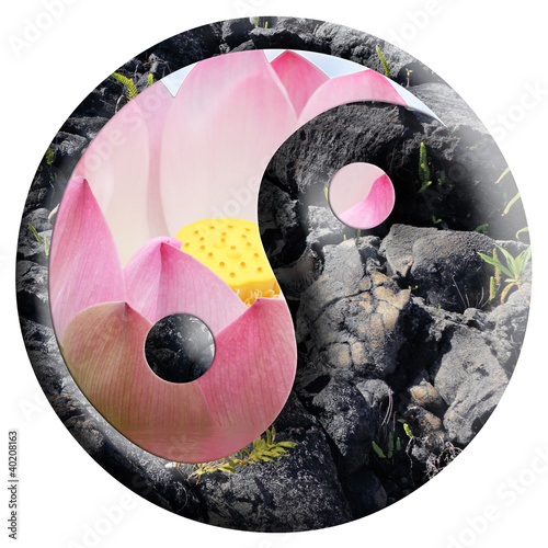 yin yang, floral, minéral photo