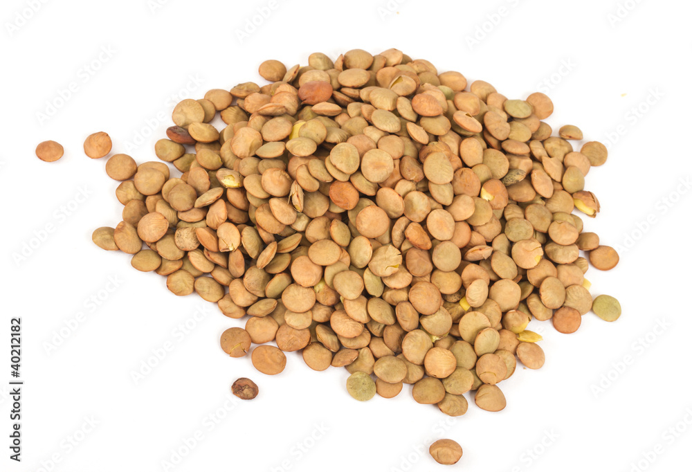 Lentils Isolated on White Background Lentils Isolated on White Background