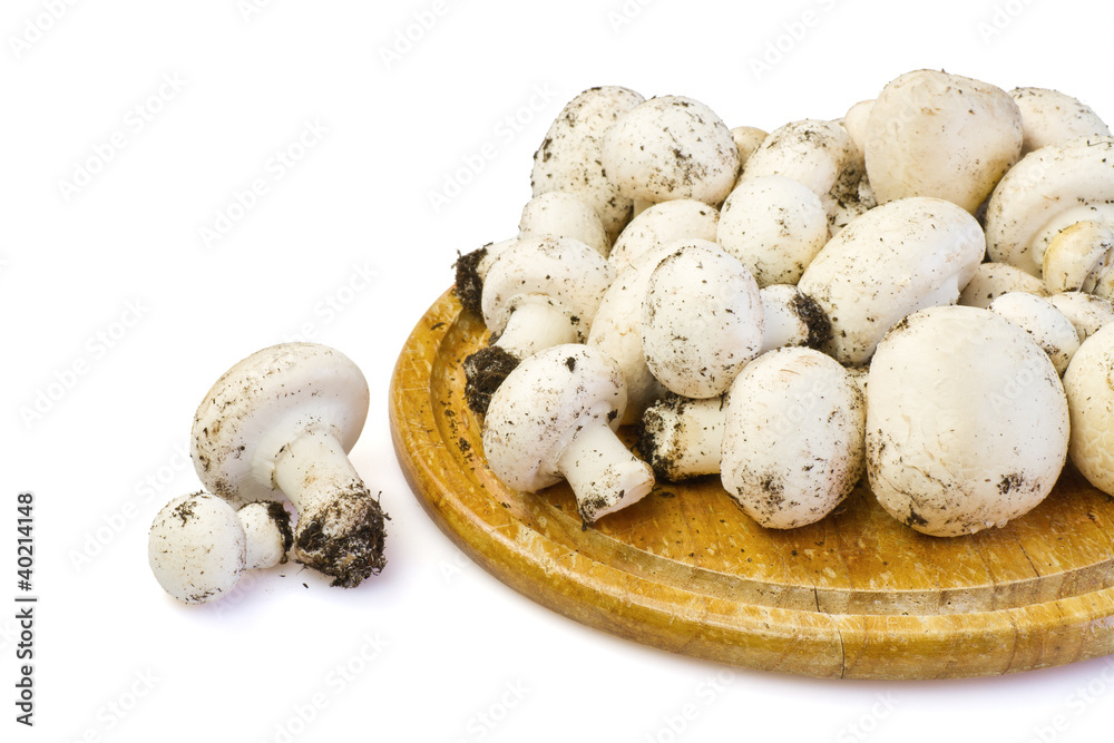White mushrooms on wooden board, isolated + clipping path