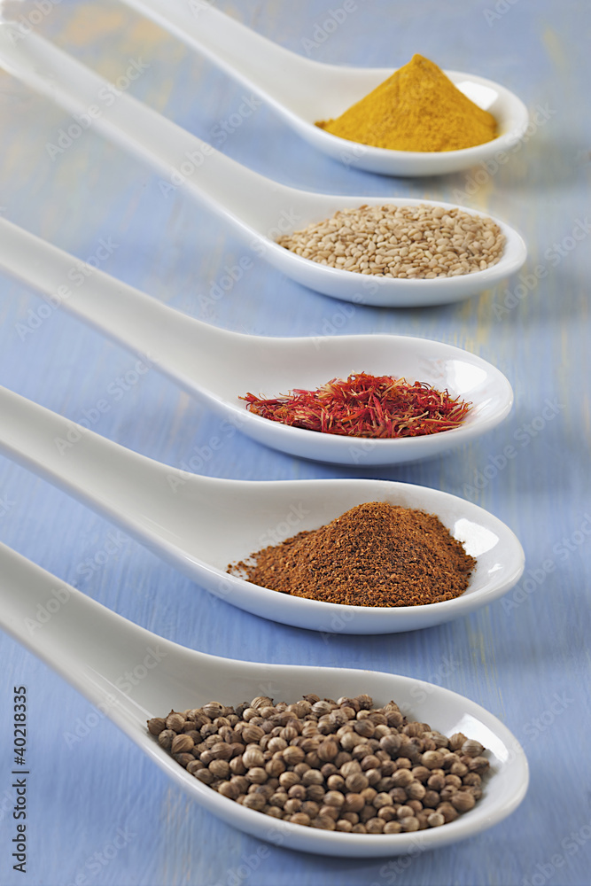 ÉPICES : Coriandre-Paprika-Safran-Sésame-Curry ÉPICES : Coriandre-Paprika-Safran-Sésame-Curry