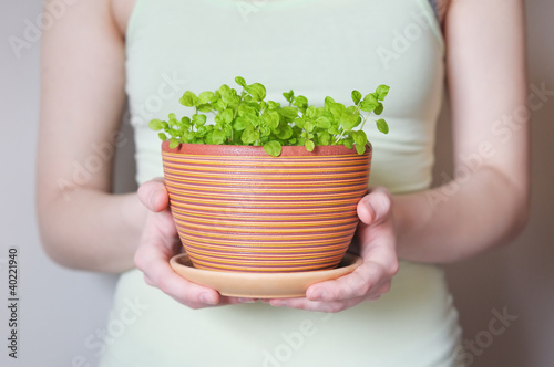 Woman holding flowerpot with sprouts in her hands