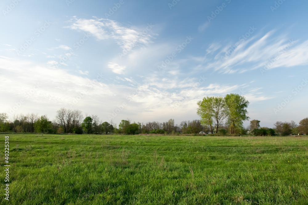 Green pasture and blue sky